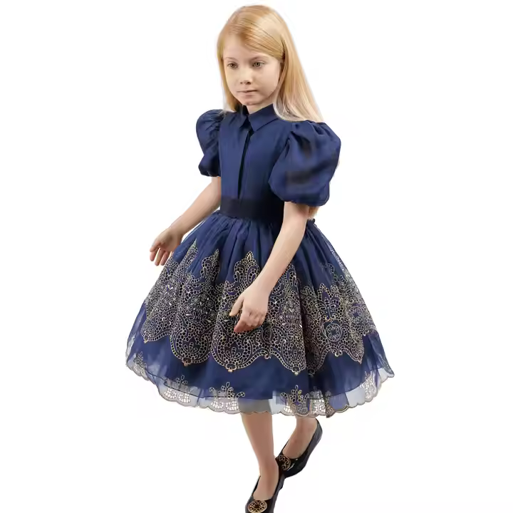 OEM & ODM Kids Baby Girls Dress Short Sleeve Princess Dress Party Tutu Dress for 3-12 Years