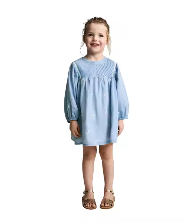 Custom Brand Summer Fashion Kids Girls Dress Children's Clothing Long Sleeve Knee-Length Pleated Embroidery Dress